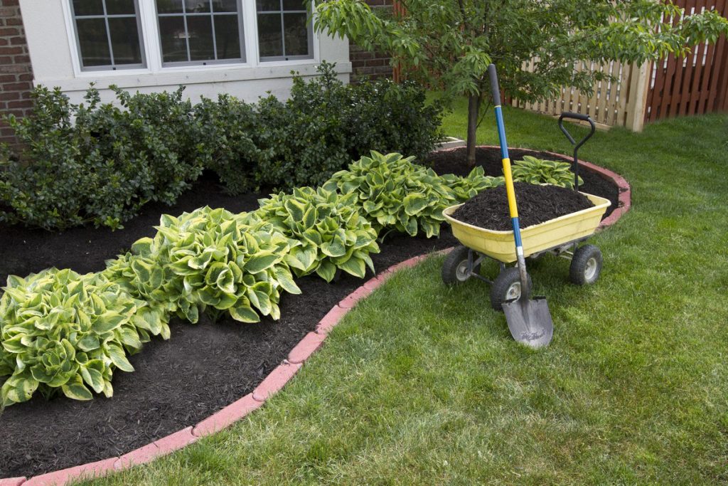 Are you trying to gather landscaping supplies that you need for your garden? Here are some of our top supplies to have on hand for your landscaping needs!