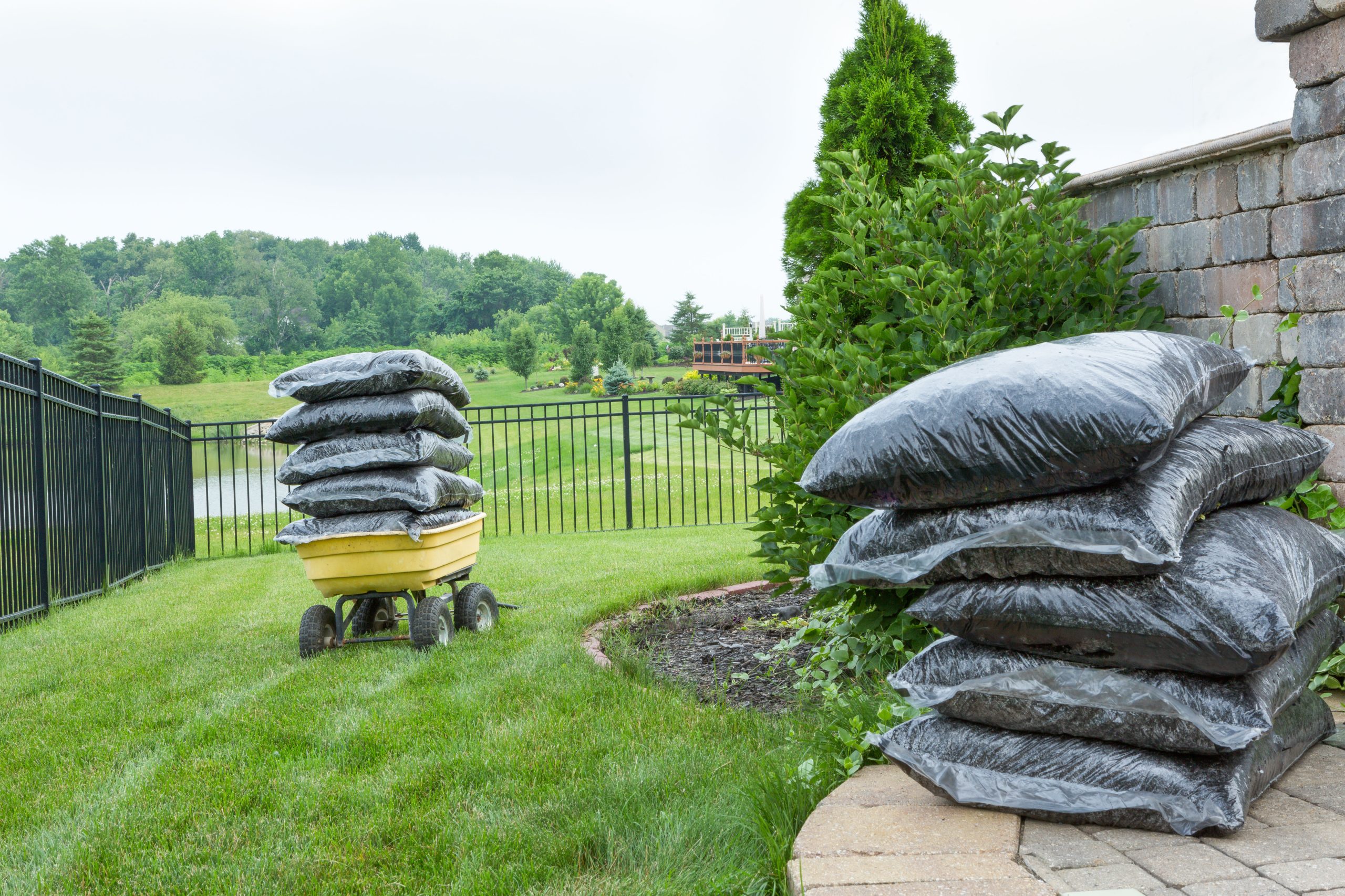 A Guide to Choosing the Right Type of Mulch Champion Mulch
