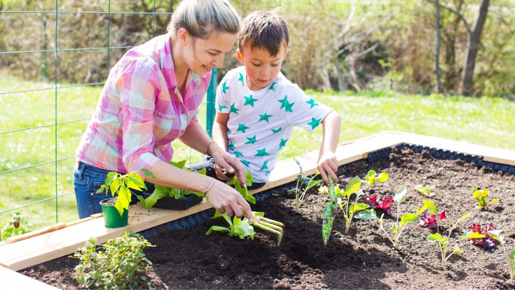 A woman and young boy planting seedlings together in a raised garden bed filled with dark topsoil in a sunny backyard during spring.