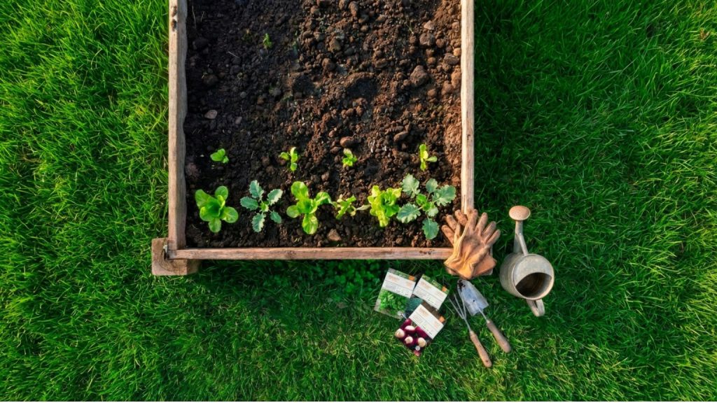 A Southwest Ohio raised garden bed in early spring with freshly turned soil and cool-season vegetable starts ready to plant, seed packets visible nearby.