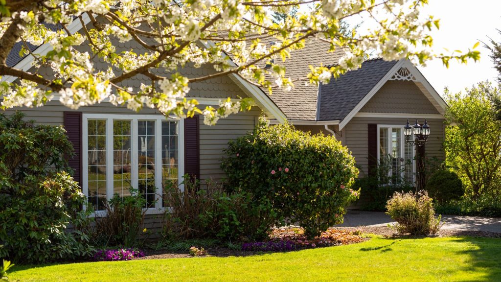 Tan house showing their front yard in spring with white flowers on the budding tree.