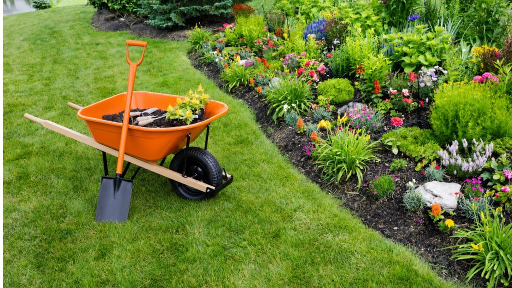 an orange AM Leonard wheelbarrow loaded with soil and seedlings sitting beside a lush spring planting guide garden bed filled with colorful flowers and dark mulch along a green lawn.
