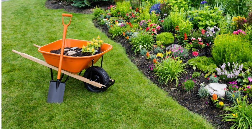 an orange AM Leonard wheelbarrow loaded with soil and seedlings sitting beside a lush spring planting guide garden bed filled with colorful flowers and dark mulch along a green lawn.